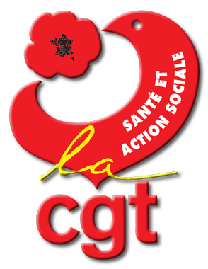 Logo cgt sas