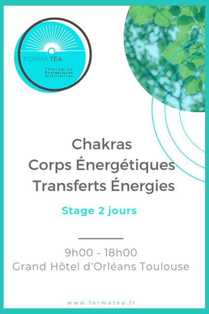 Stage chakras corps énergétiques transfert énergies toulouse membre gnoma