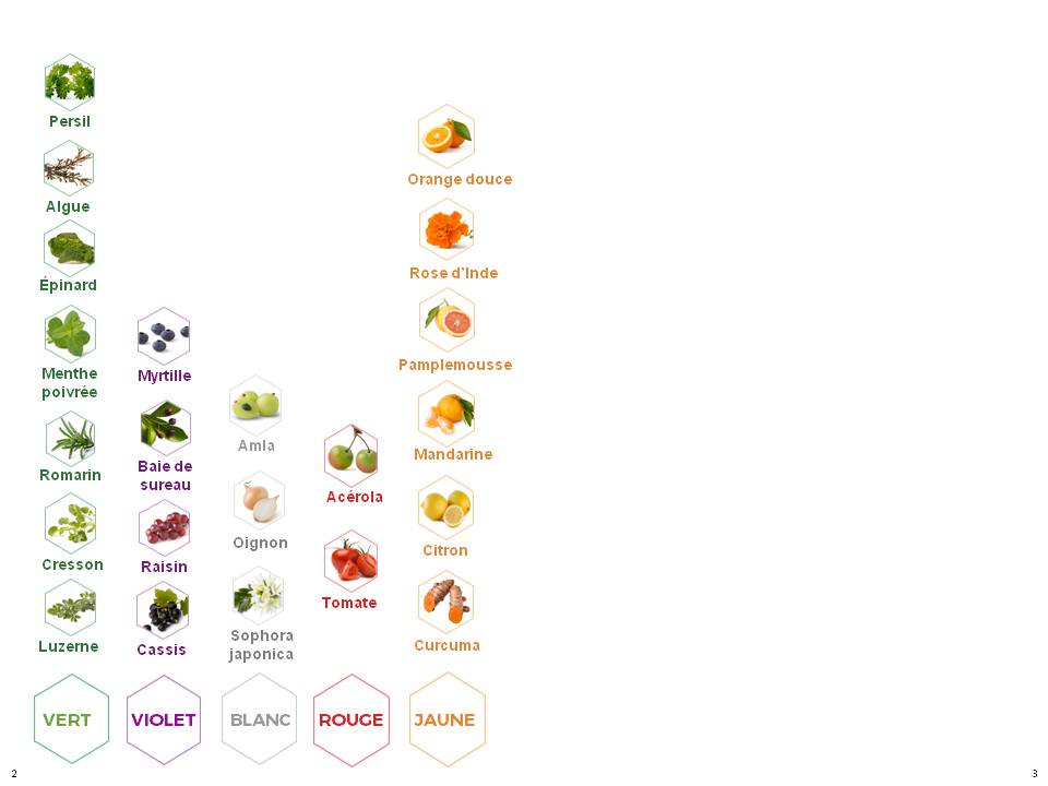 Nutrilite 22 plantes