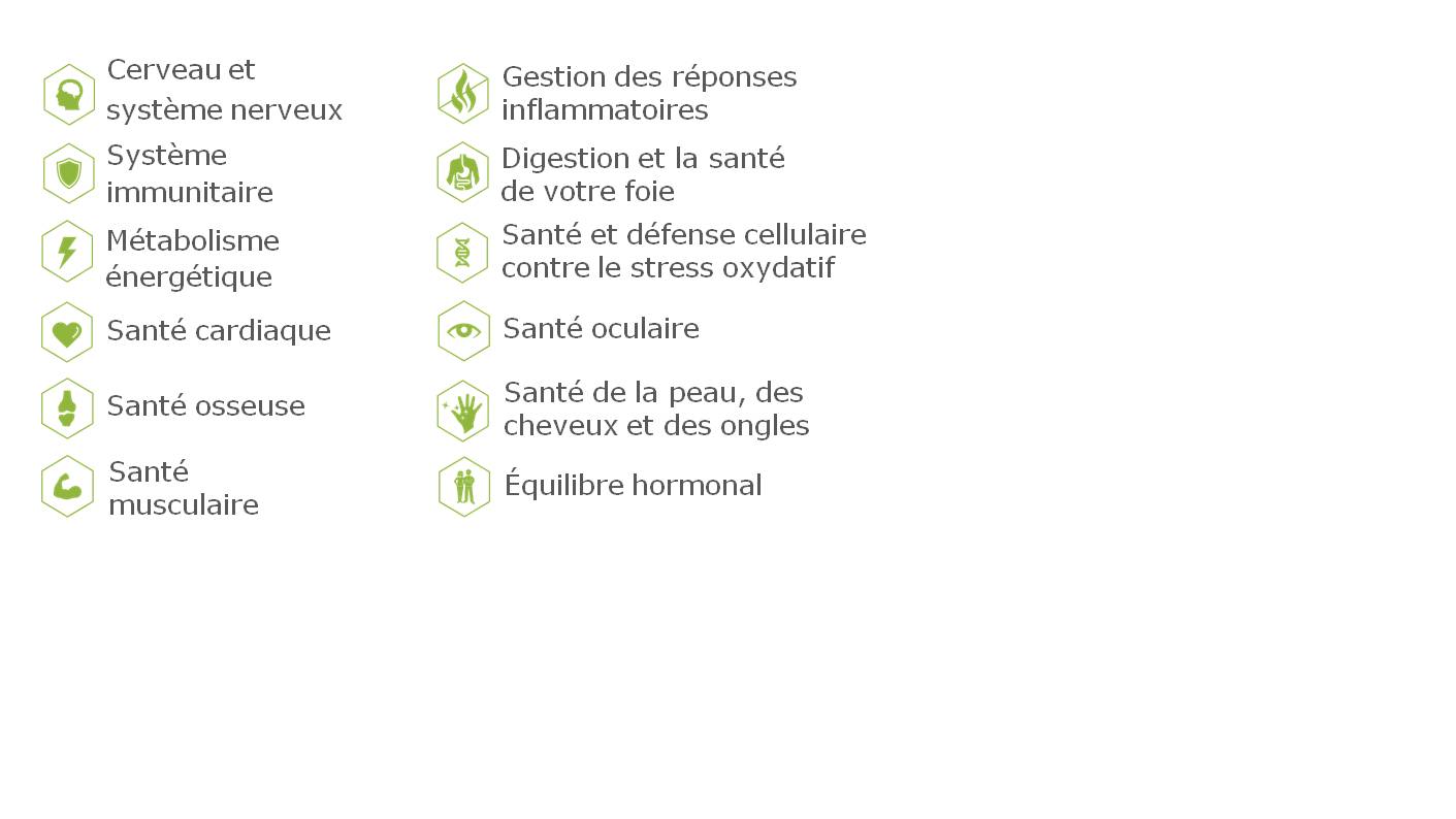 Nutrilite double x bienfaits1
