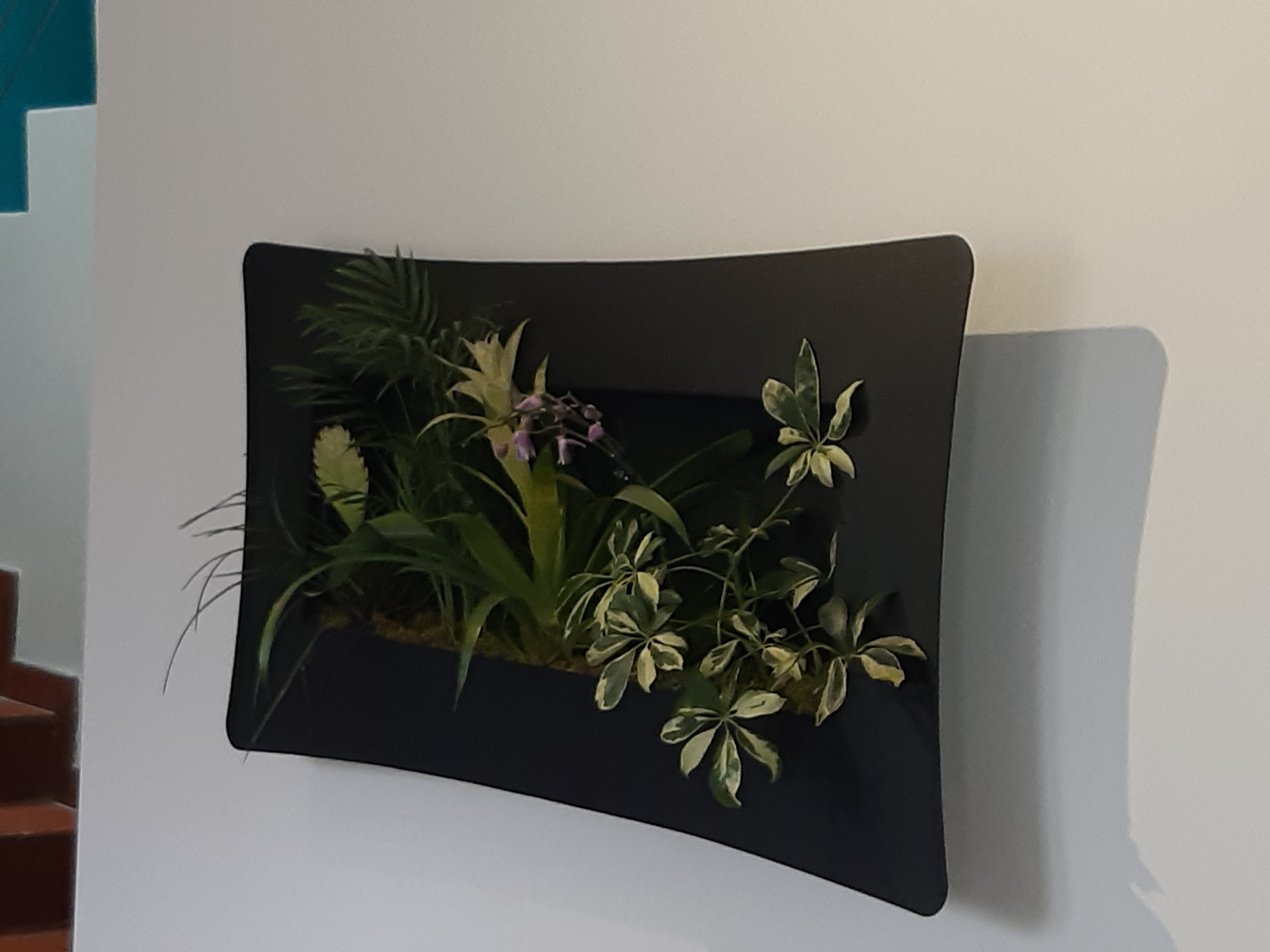 Tableau vegetal