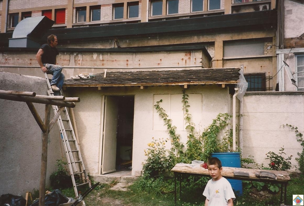 19