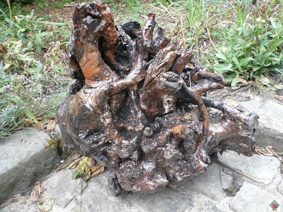D14