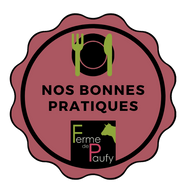 Nos bonnes Pratiques for website