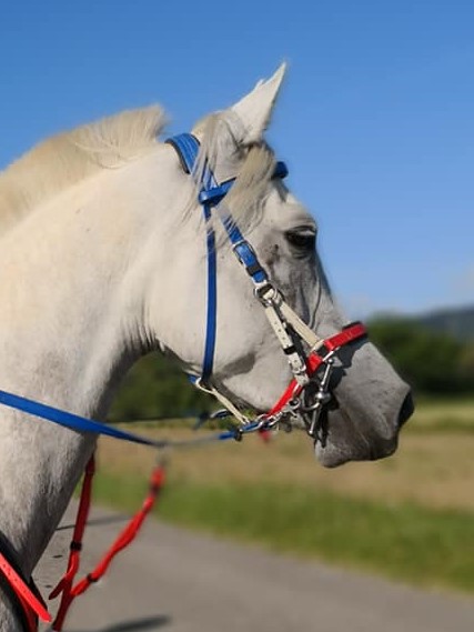 35398994 10160866198410500 5680212424985149440 n 2 