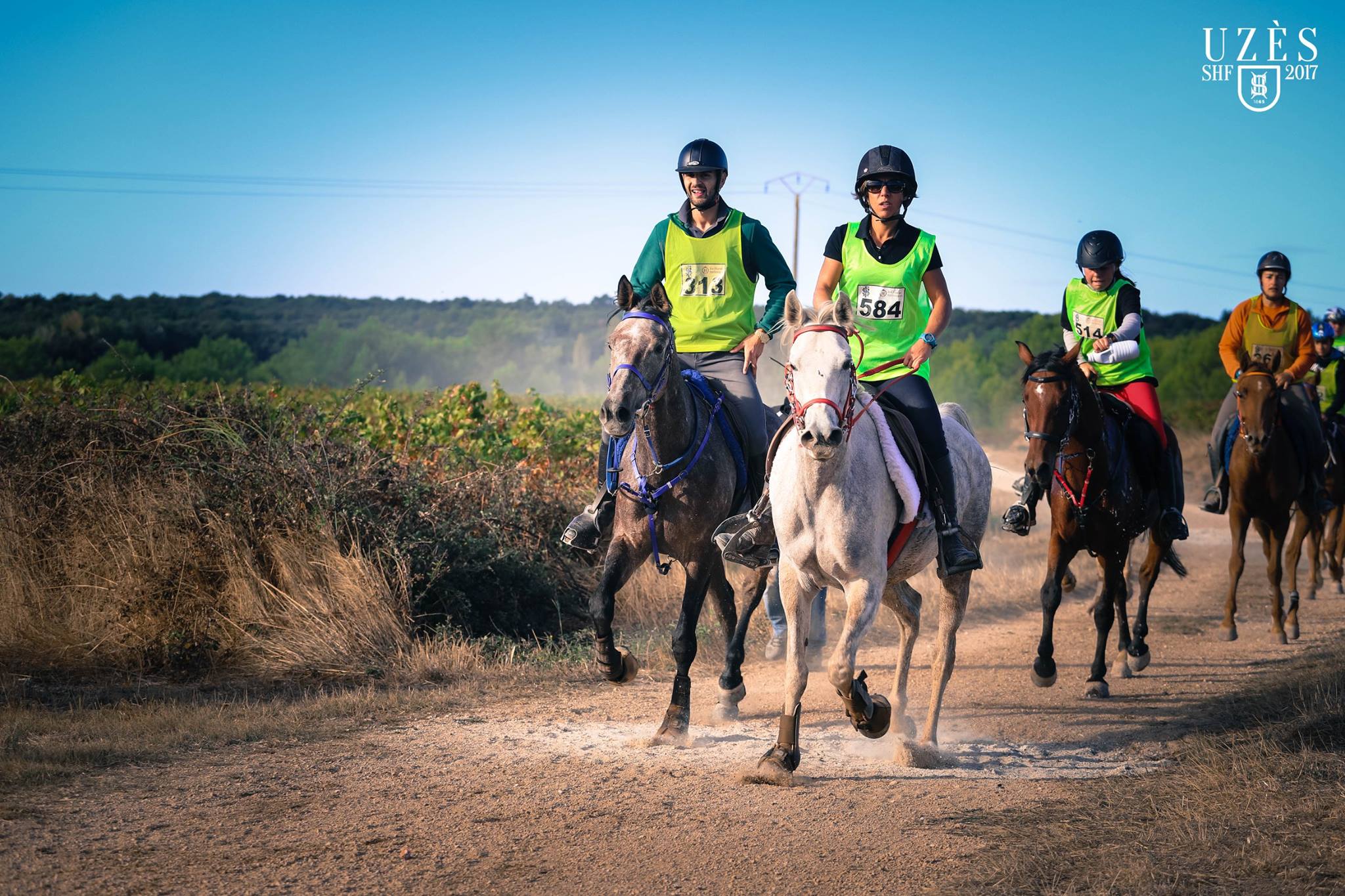 22291467 1449670095128720 700377875801075968 o 1 