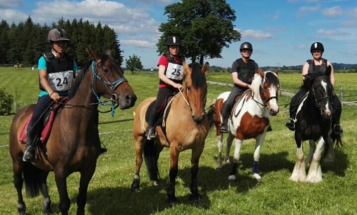 64789986 2119662618162991 4112975577319735296 n