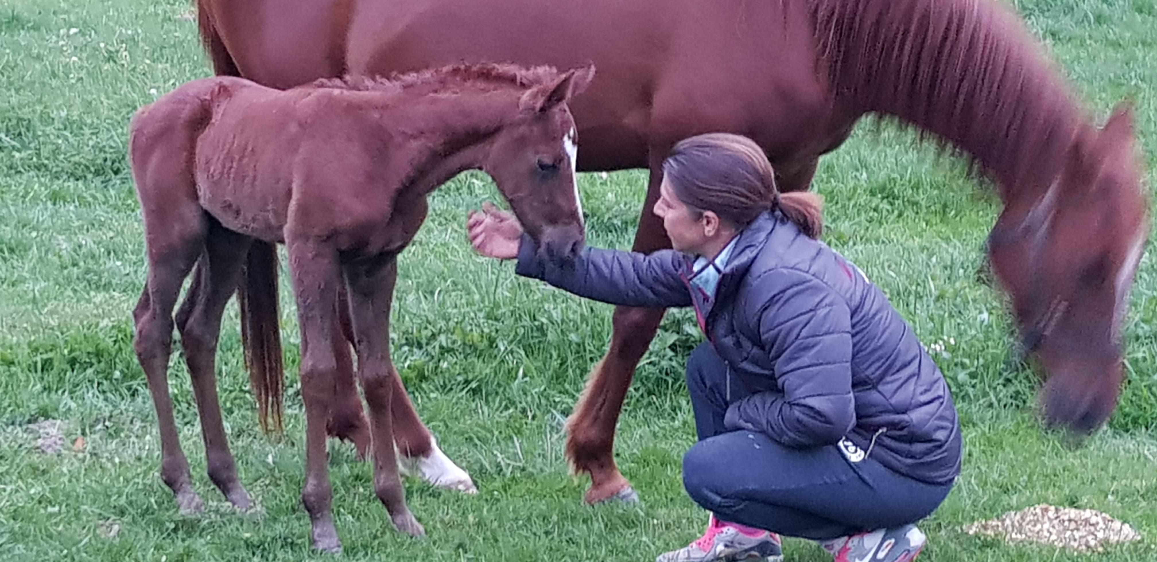 59390721 610897079412237 7041582079879938048 n