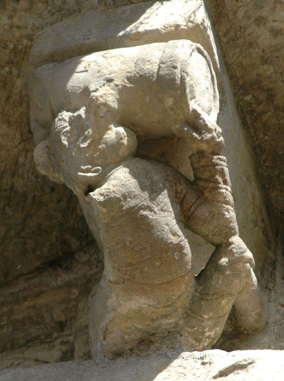 26