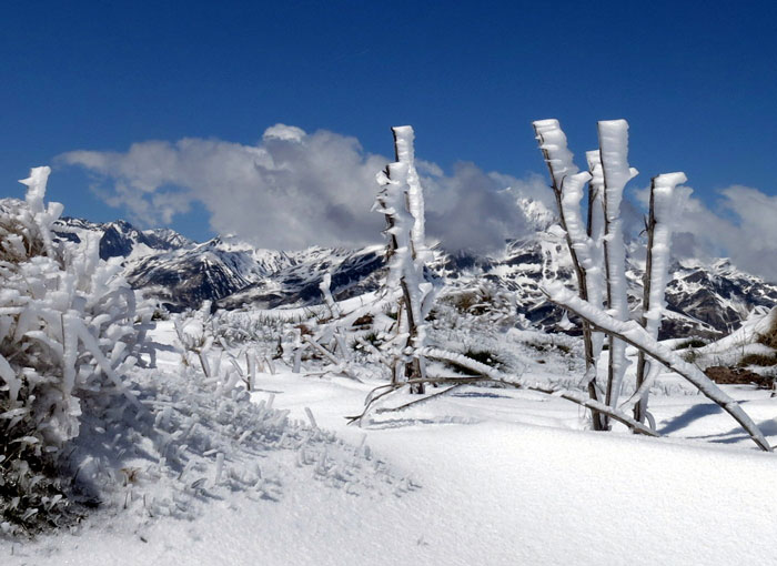 4 sculpture hivernale
