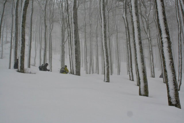 Photos de randonnées montagne organisées par l'association rand'Ornézan au cours de l'année 2019