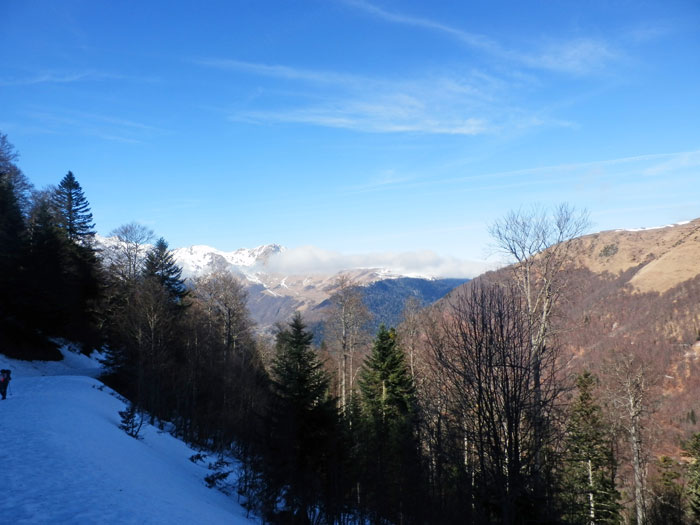 8 vers le plateau de Campsaure