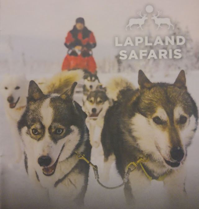 Chiens traineau principale