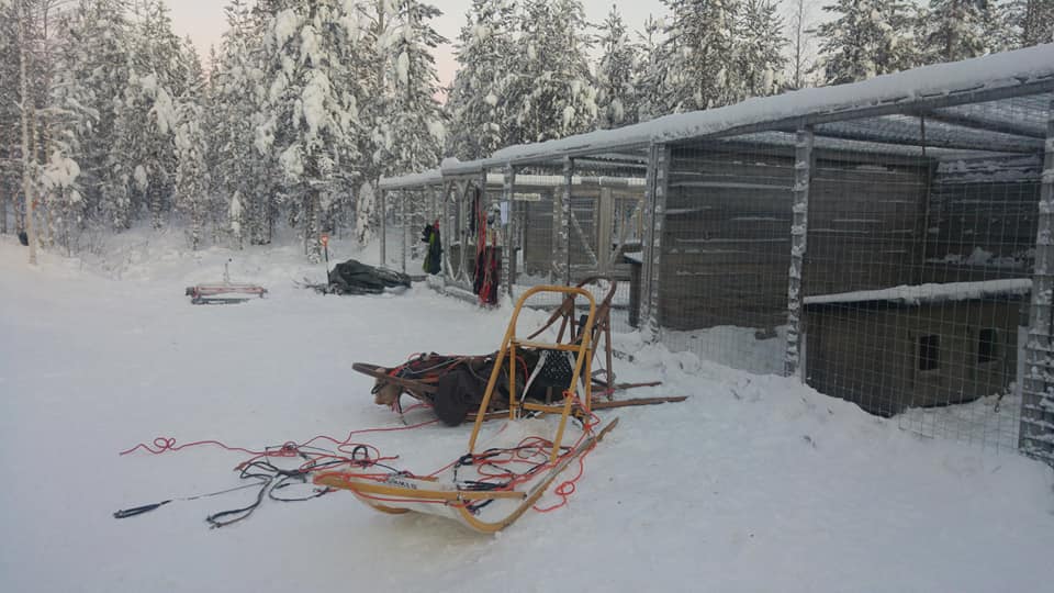 49864888 109034413521983 3488460888367693824 n