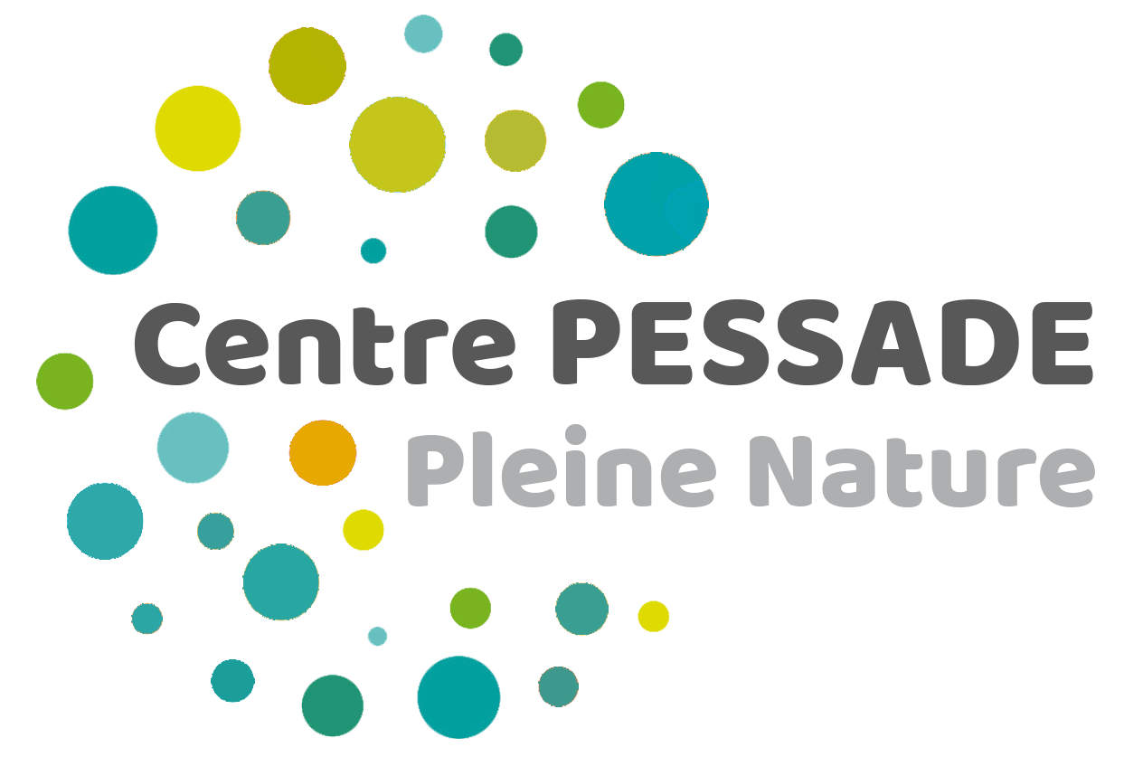Logo pessade2018