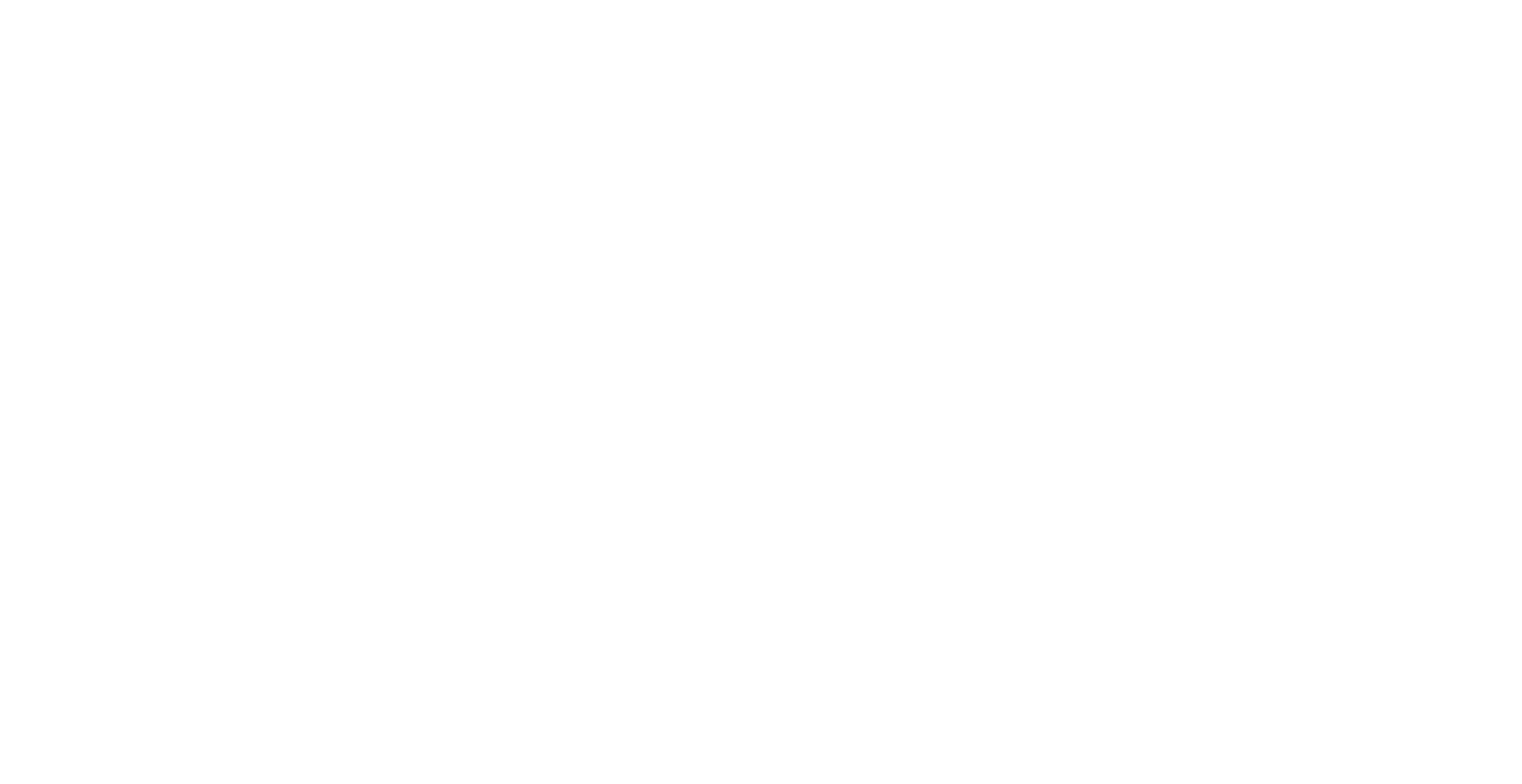 Logo ain blanc 2018