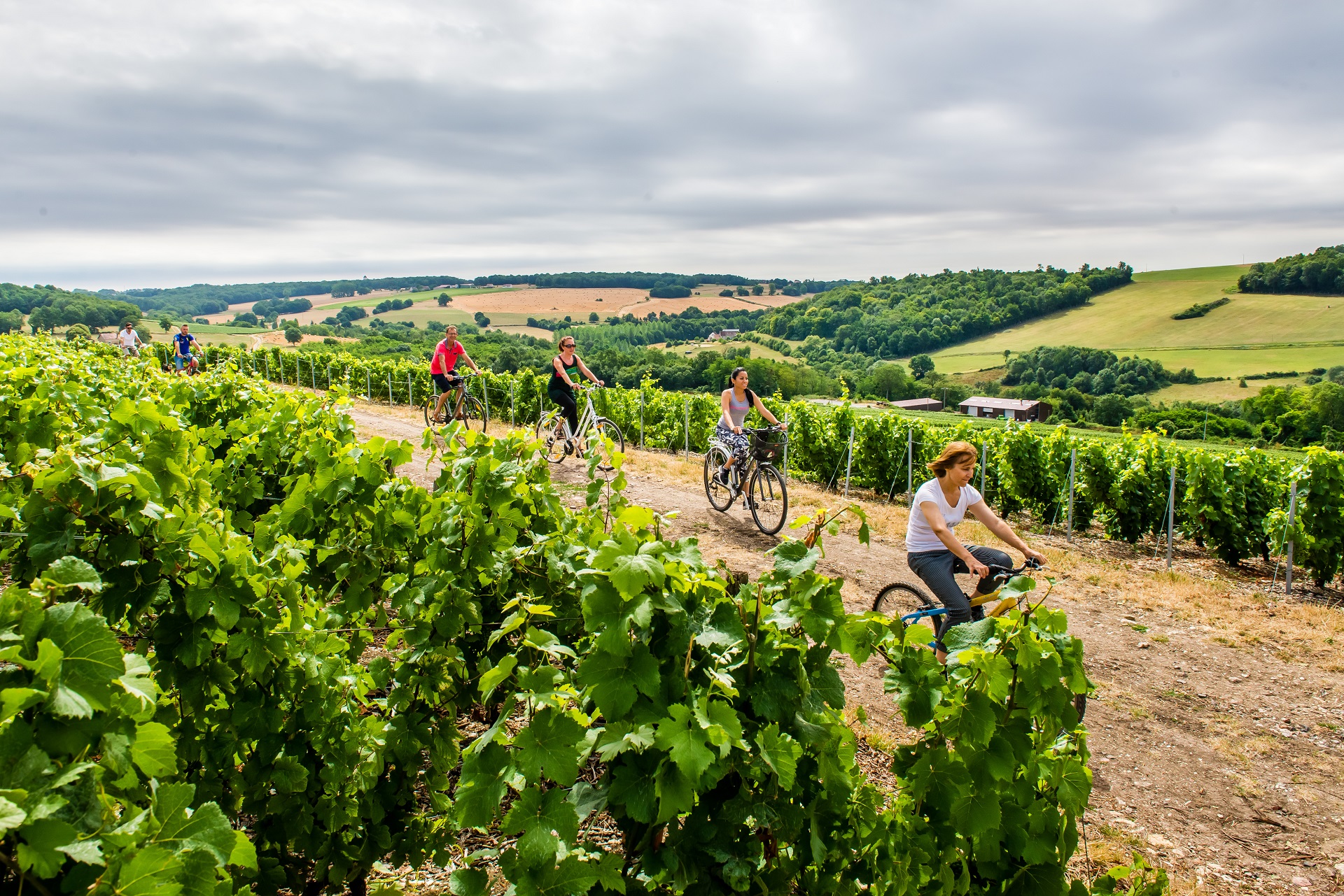 Balade velo vignoble champagne cambon 1 