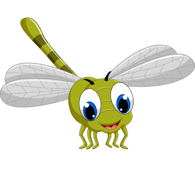 Libellule