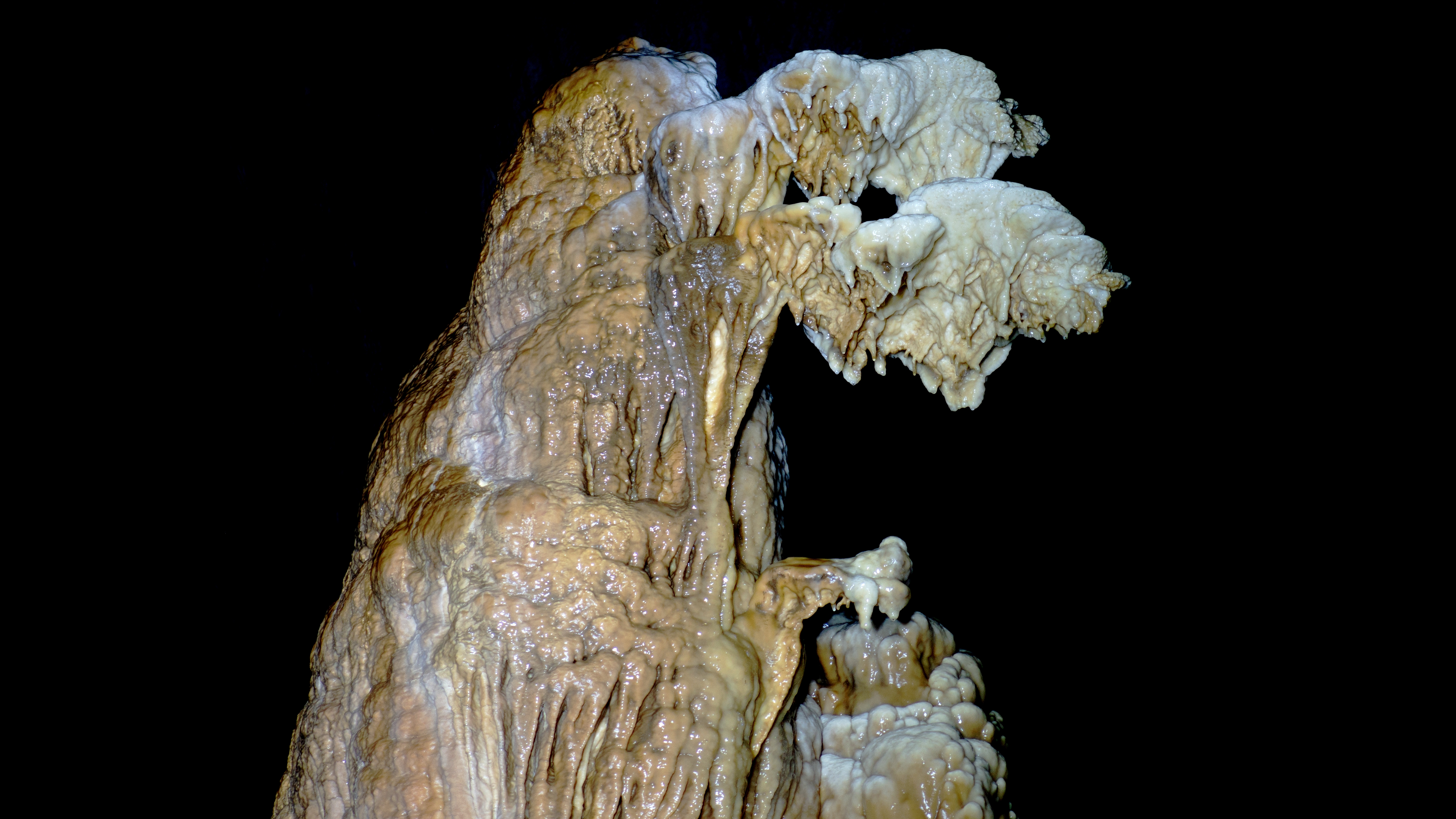 2019 10 10 fitoja 05
