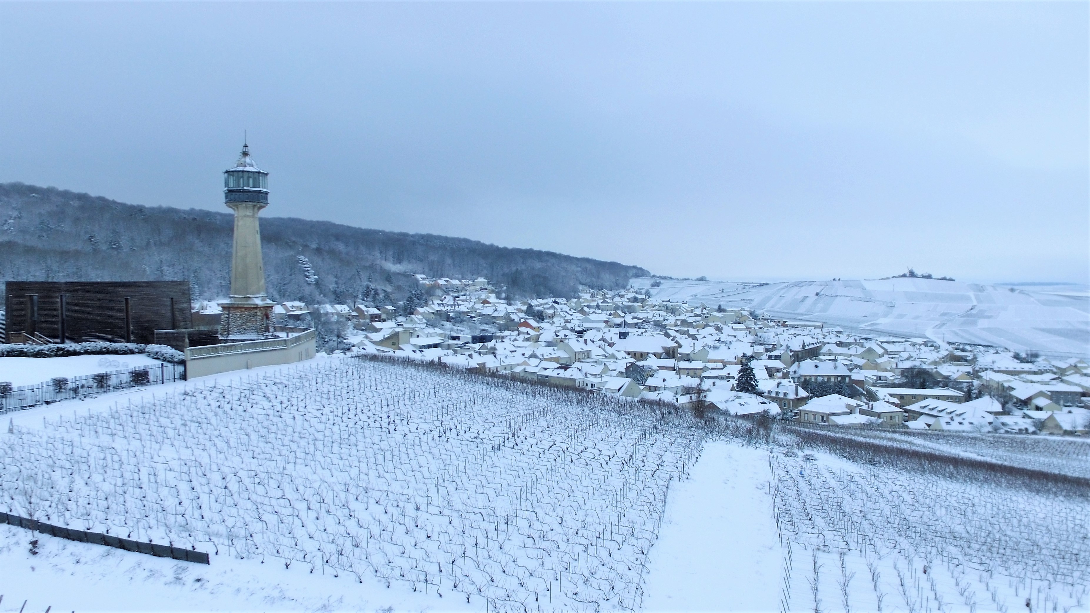 Dji 0250
