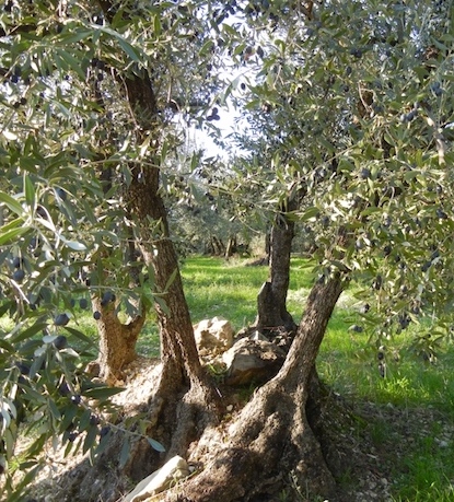 Unadjustednonraw thumb 3c69