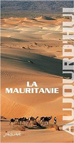 Sahara Mauritanie 2cv dunes gps de sert Cyril et Sylvie Guide 3