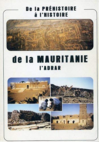 Sahara Mauritanie 2cv dunes gps de sert Cyril et Sylvie Finore