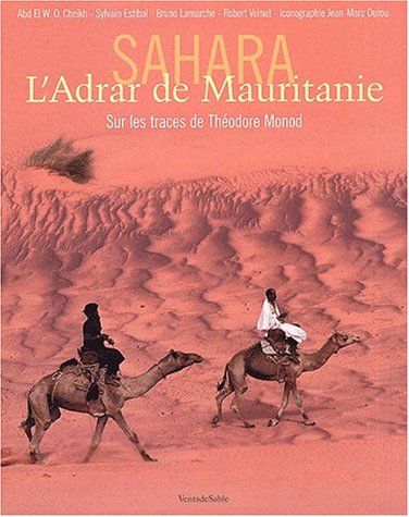 Sahara Mauritanie 2cv dunes gps de sert Cyril et Sylvie l Adrar de Mauritanie
