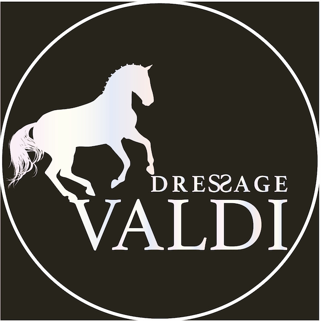 Prof fb valdi