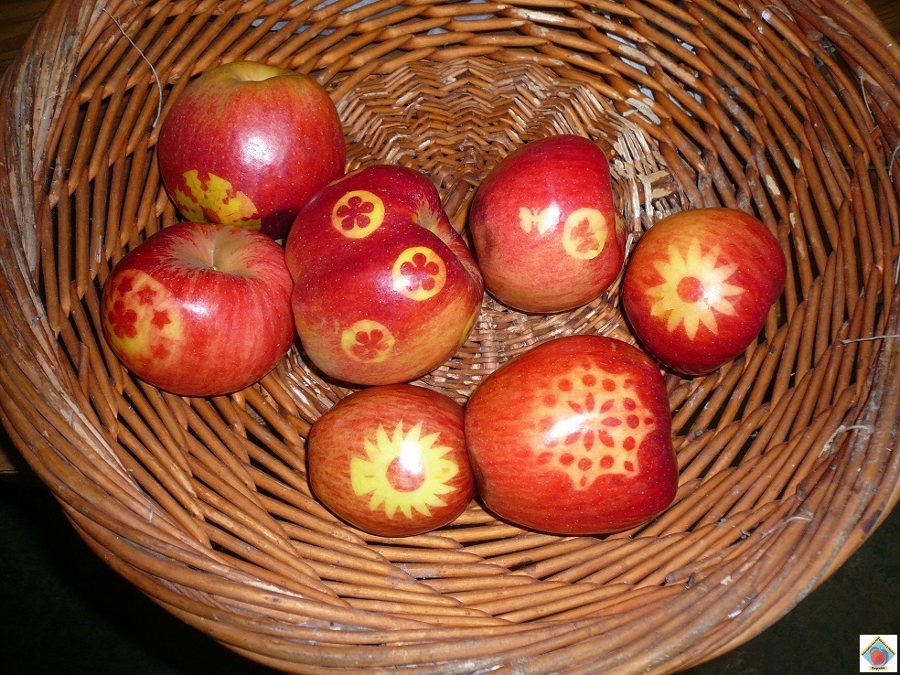le marquage des pommes