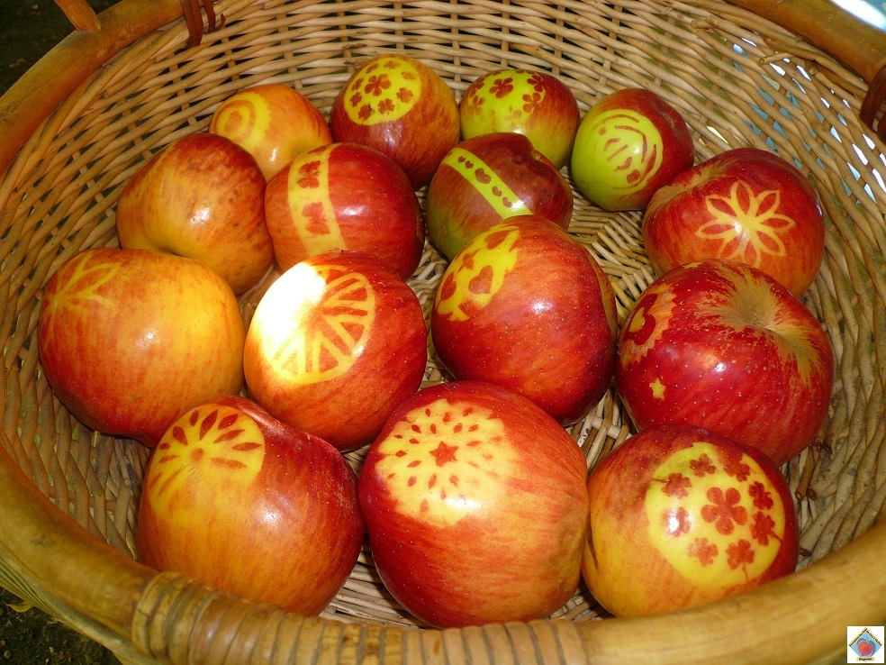 le marquage des pommes
