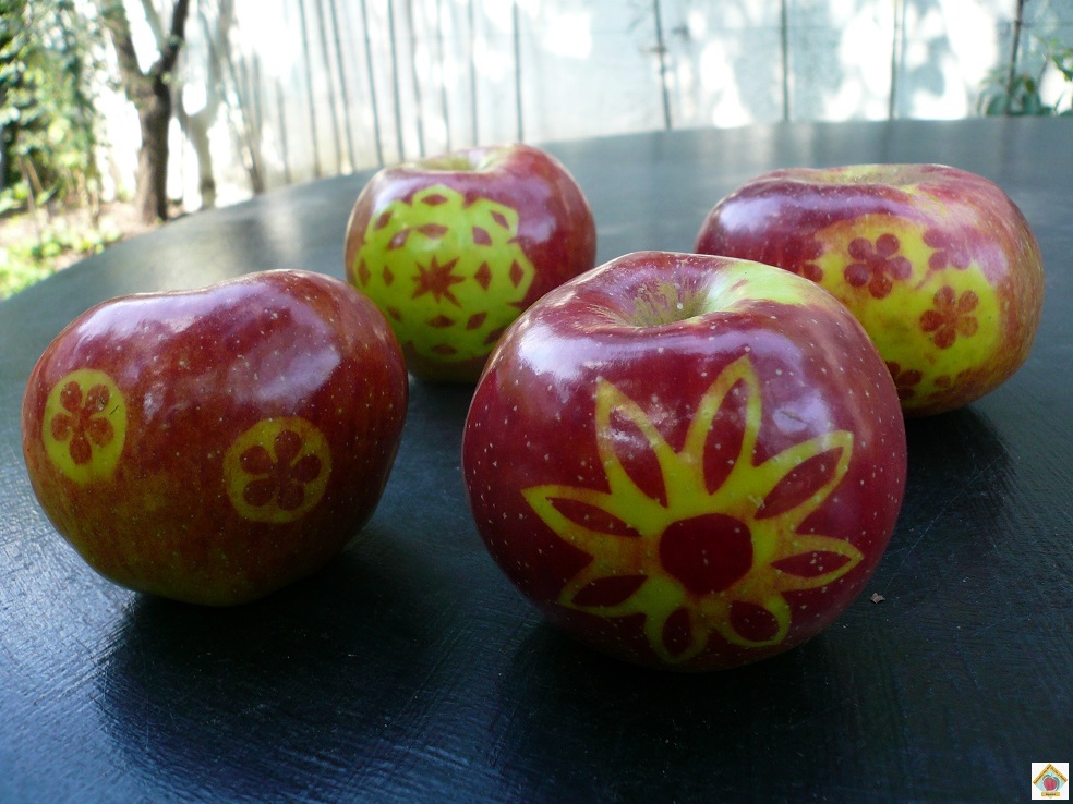 le marquage des pommes