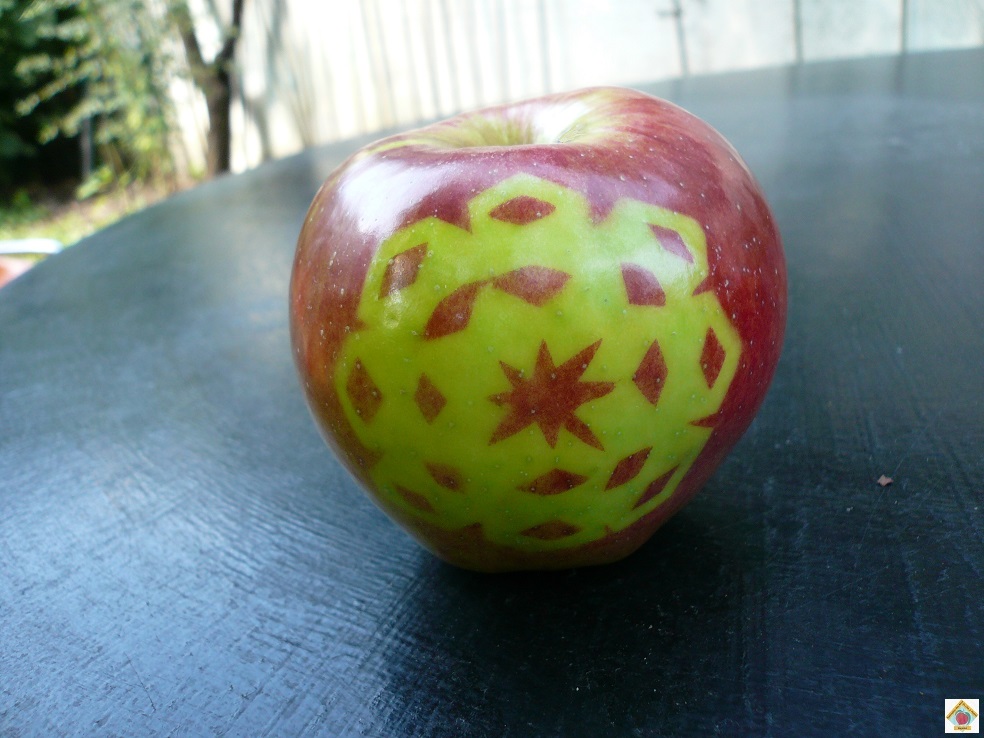 le marquage des pommes à Bagnolet