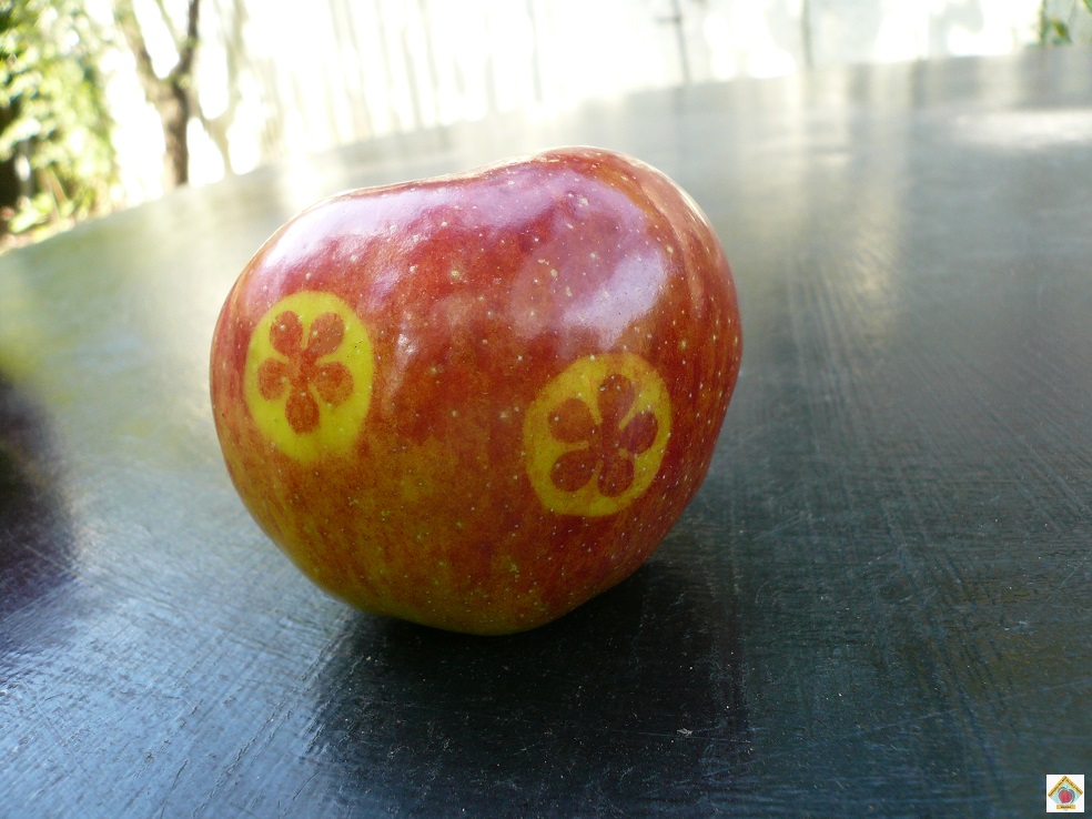 le marquage des pommes à Bagnolet