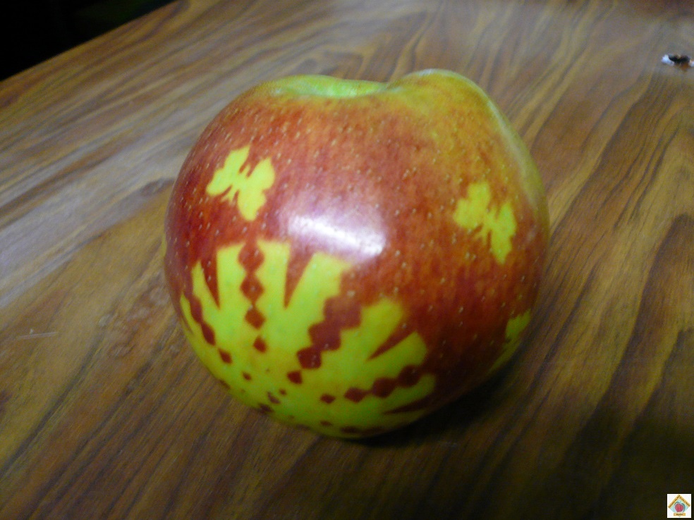 les pommes marquées