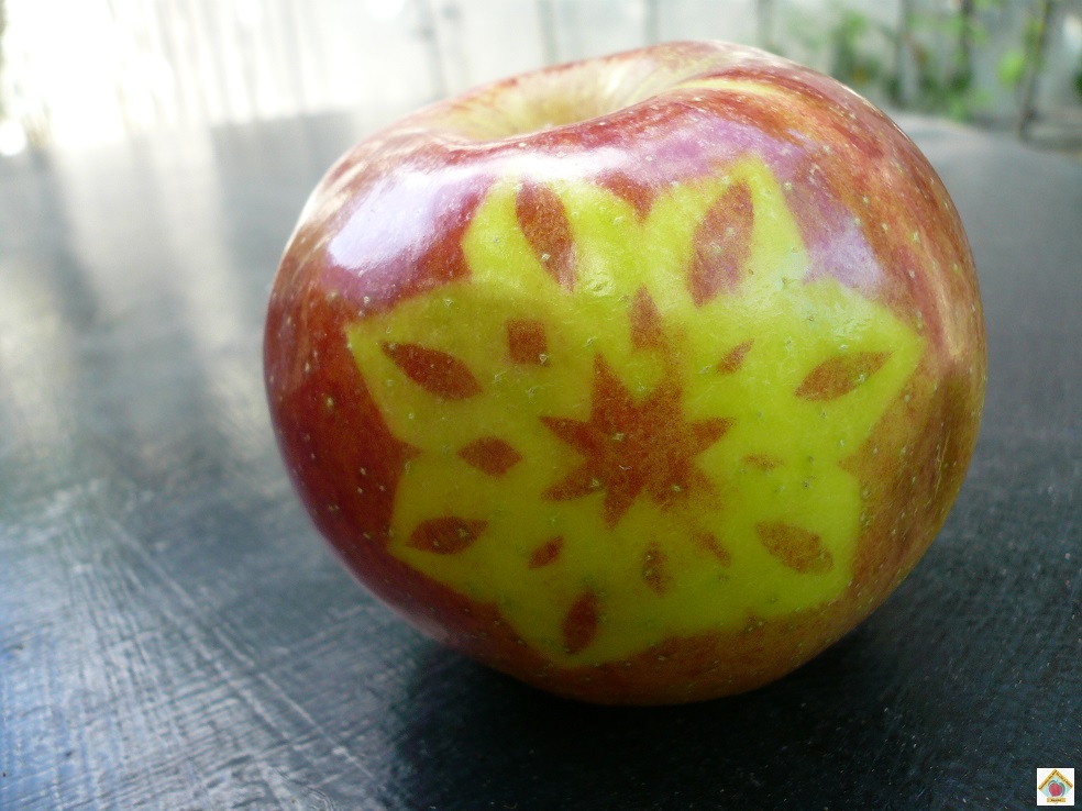 le marquage des pommes