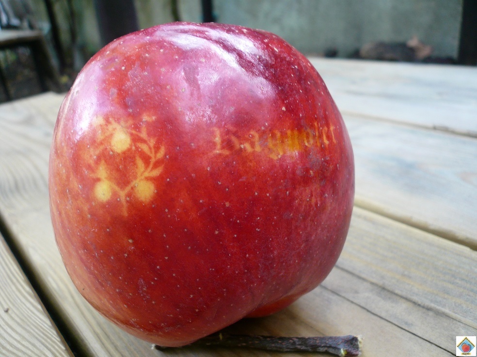 Bagnolet et les pommes marquées