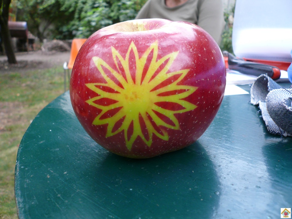 le marquage des pommes