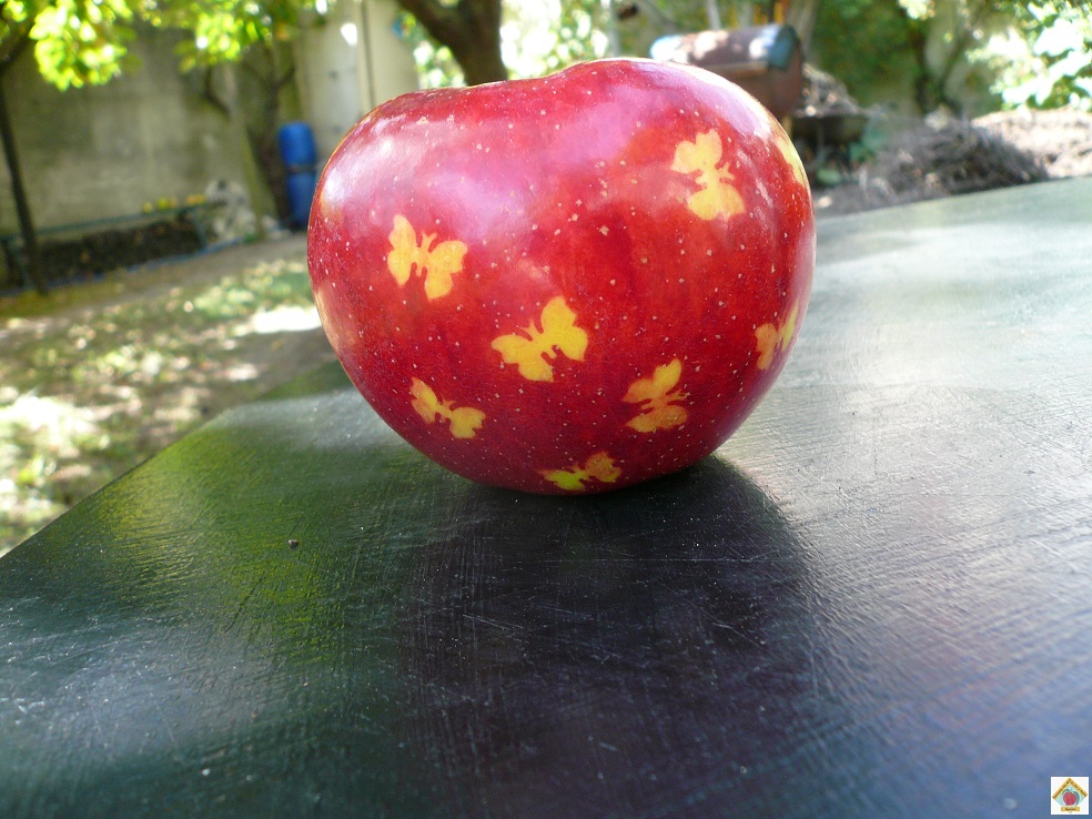 le marquage des pommes