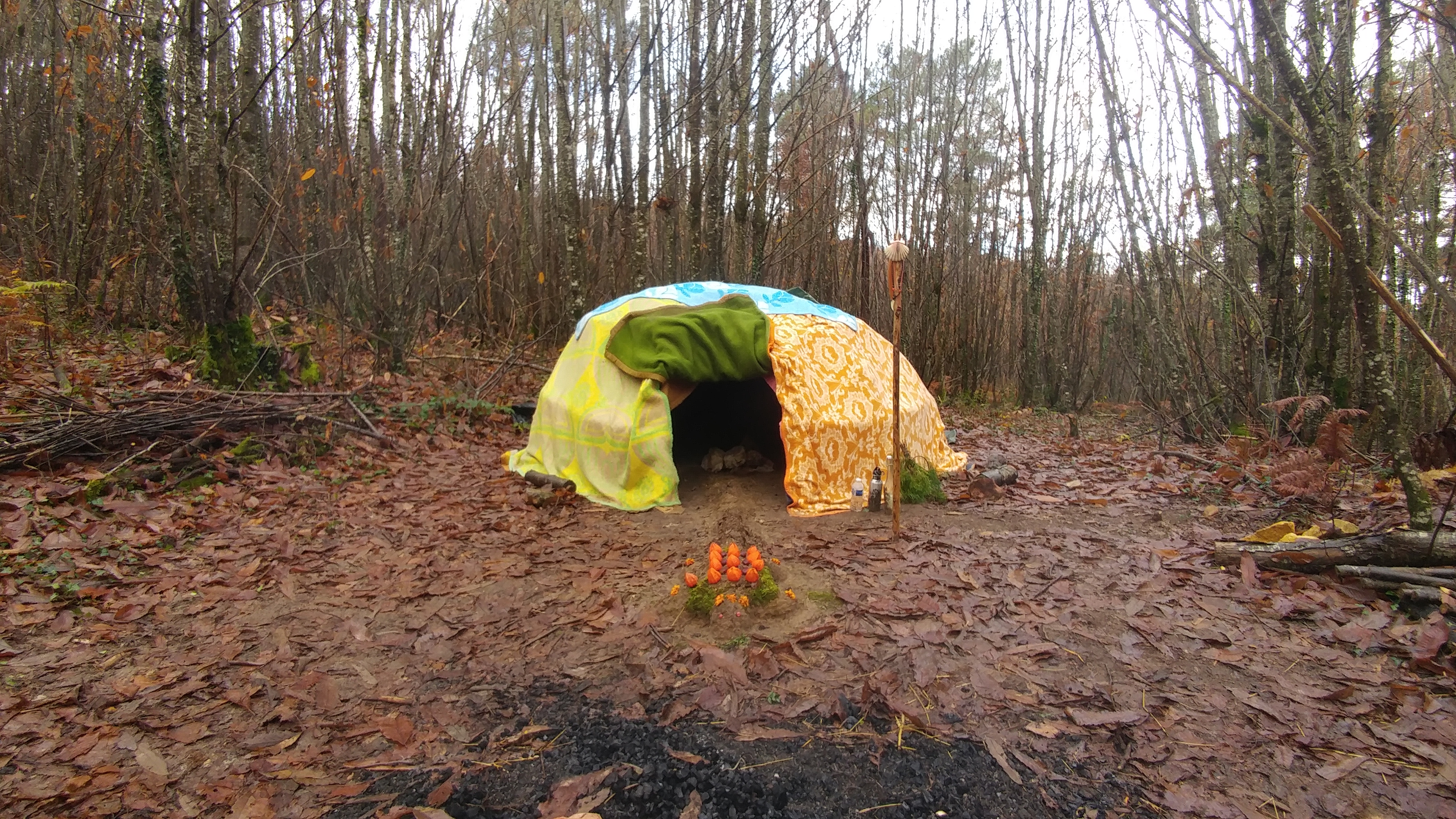 Hutte d'automne chez un ami, novembre 2019
