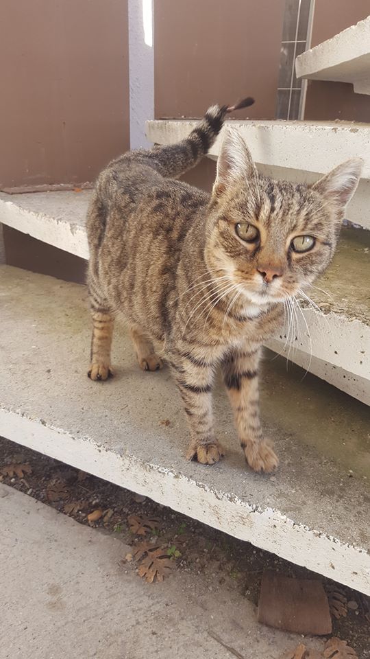Minette EHPAD