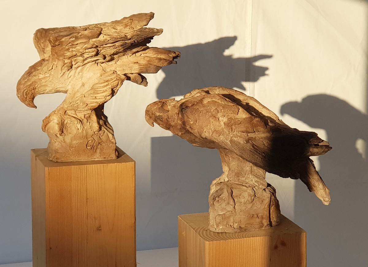 2 aigle