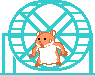 Anim rongeur25