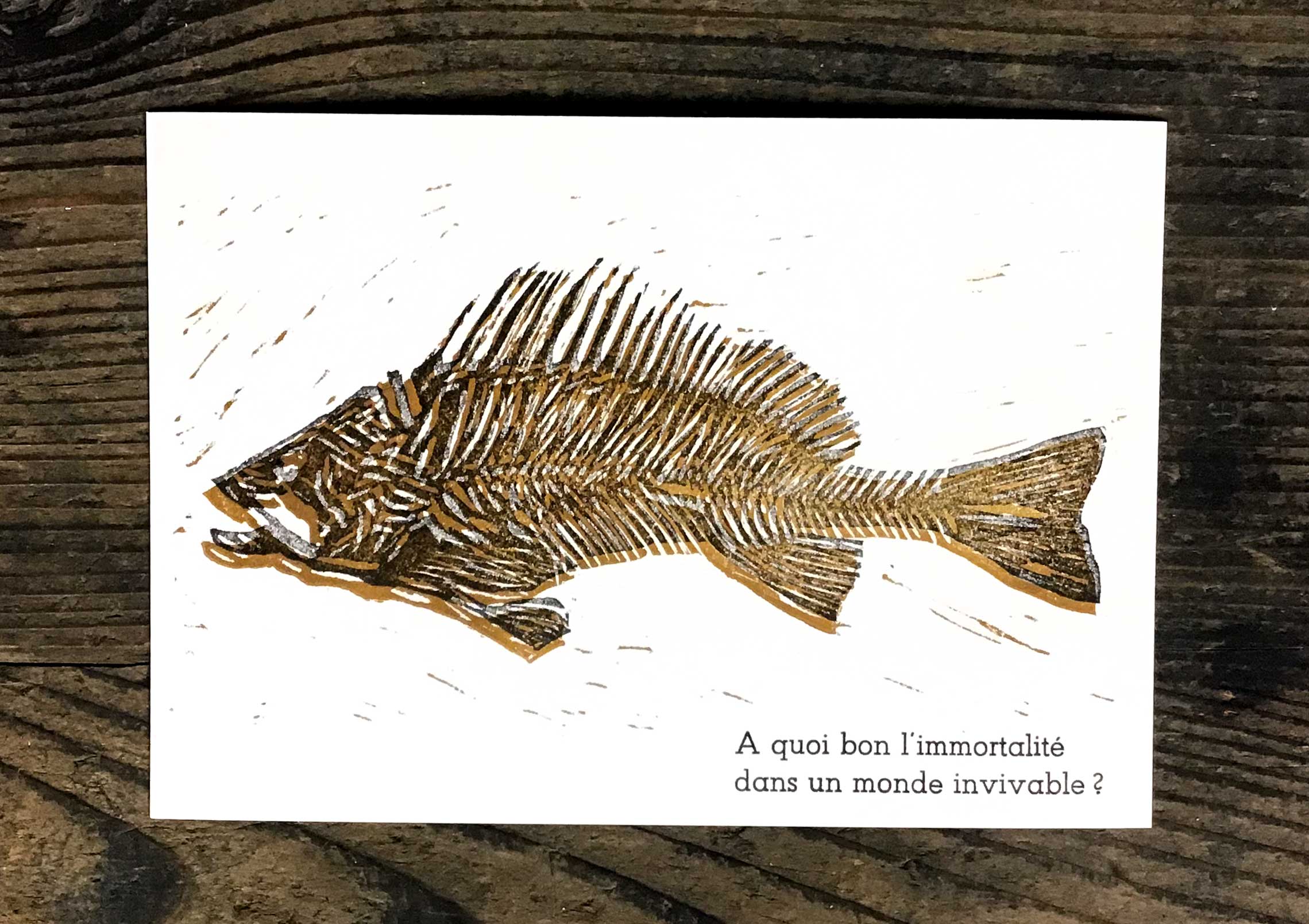 Linogravure et caractères au plomb. Tirage : 50 exemplaires
