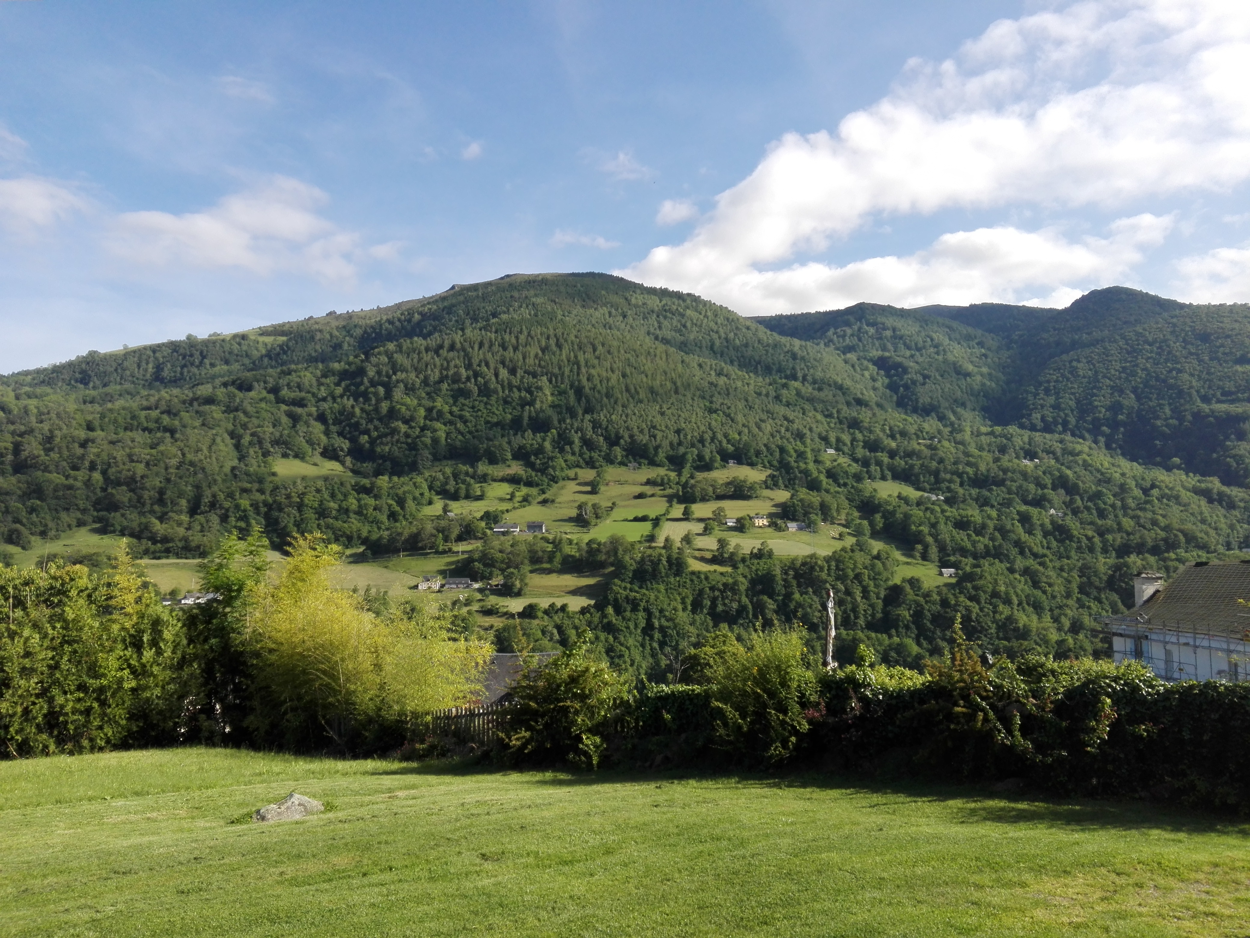 Img 20190616 183449