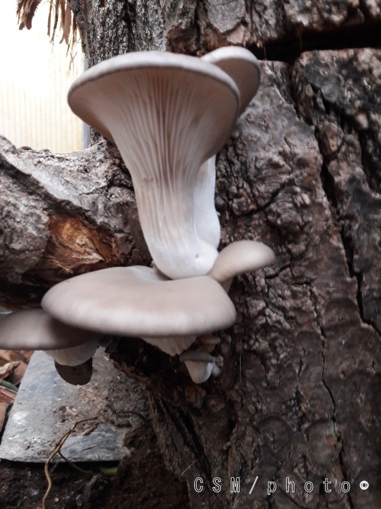 20181209 143910