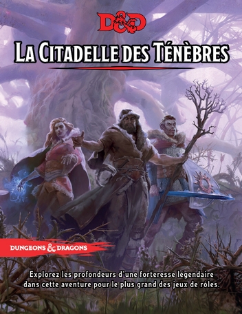 Citadelle des tenebres mini