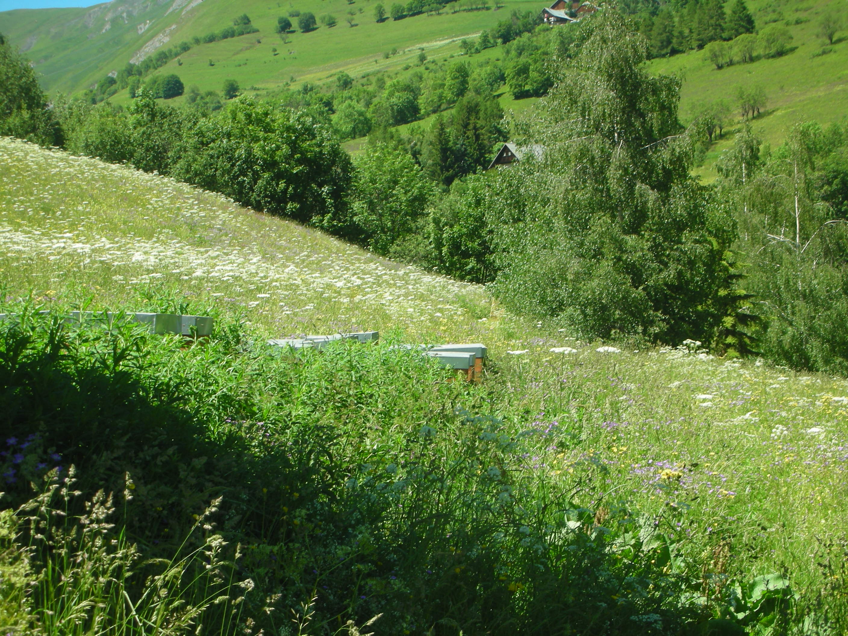 Dscn6128