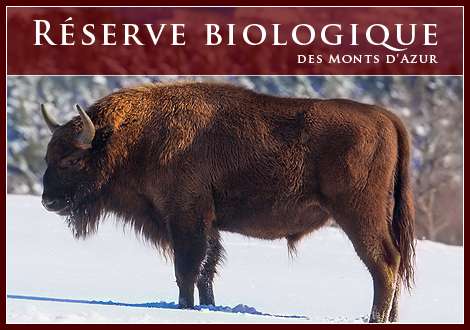 420fabae64 54271 reserve biologique