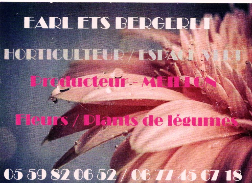 Bergeret fleurs